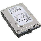 Seagate Constellation ES 3 TB 7200RPM SATA 6Gb/s 64MB Cache 3.5 Inch Internal Bare Drive ST33000650NS - 1