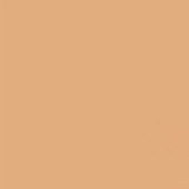Gdx Seyyar Kağıt Sonsuz Stüdyo Fon Perde (Beige) 2.70x11 Metre - 4
