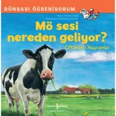 Mö Sesi Nerden Geliyor? - 1