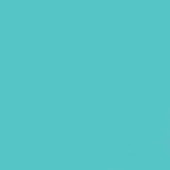 Gdx Seyyar Kağıt Sonsuz Stüdyo Fon Perde (Turquoise) 2.70x11 Metre - 3