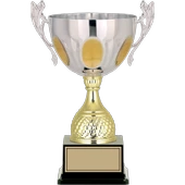 ODAK KUPA - Vip Kupalar - VP-008 B - 42 cm - 1