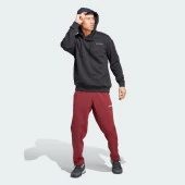 ADİDAS ERKEK SWEATSHİRT TX LOGO HOODY IB6565 thumbnail 6