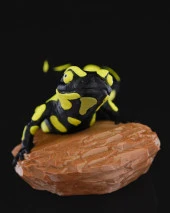 Kaya Üstünde Semender Büst-Figür-Heykel - 4