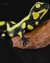 Kaya Üstünde Semender Büst-Figür-Heykel - 5