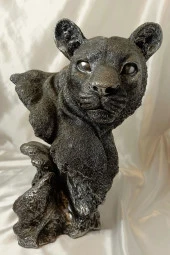 Aslan Kaplan Jaguar Biblo - 1