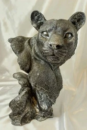 Aslan Kaplan Jaguar Biblo - 6