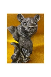 Aslan Kaplan Jaguar Biblo - 7