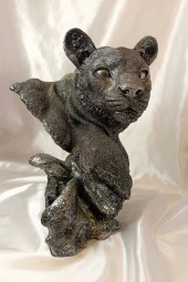 Aslan Kaplan Jaguar Biblo - 9