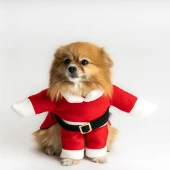 Noel Baba Kostüm Büyük Irk Köpeklere Uygun Polar Göğüs68-75cm Sırt65cm 4XLarge - 2