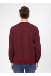 Süvari Polo Yaka Regular Fit Armürlü Koyu Bordo Erkek Kazak TR2013700314 - 5