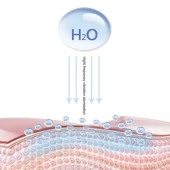 Mini El Nano Buhar Püskürtücü Yüz Nemlendirici Cilt Bakımı Araç İçi Koku Yayıcı - 10