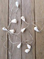 Deniz Kabuklu Pilli Dekoratif Led Işık Yılbaşı Süsü 2 Metre - 5