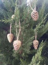 5 Adet İpli Çam Kozalak Yılbaşı Çam Ağaç Süsü Hobi Parti Malzemesi Altın Simli Renk - 8