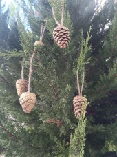 5 Adet İpli Çam Kozalak Yılbaşı Çam Ağaç Süsü Hobi Parti Malzemesi Altın Simli Renk - 6