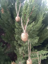 5 Adet İpli Çam Kozalak Yılbaşı Çam Ağaç Süsü Hobi Parti Malzemesi Altın Simli Renk 15869 - 1