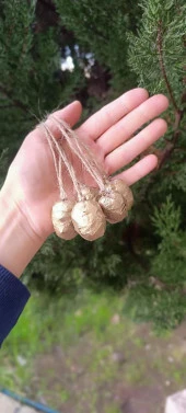 5 Adet İpli Çam Kozalak Yılbaşı Çam Ağaç Süsü Hobi Parti Malzemesi Altın Simli Renk 15869 - 2