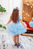 Sindirella Kostümü Kelebek Mini Mavi - 4
