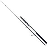 Ryuji Seawolf 180cm 300-600gr Jig Olta Kamışı thumbnail 1