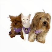 Chique Panda Kedi Tulumu Kedi Kıyafeti Kedi Elbisesi thumbnail 7