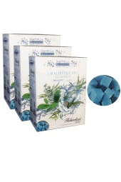 HEKİMHAN 3 Kutu Okaliptus Çayı Küp Şeker Şeklinde Okaliptus Çayı Kış Çayı Okaliptus Küpü - 1