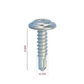 Pul Başlı Matkap Uçlu Vida RYSB 4.2x19 (1000 Ad) - 1
