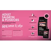 Profine 3Kg Adult Somon Etli Yetişkin Köpek Maması - 3