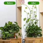 Sarmaşık ve Kablo Düzenleyici Çok Amaçlı Klips 10 Adet - 4