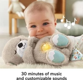 Fisher Price Uyku ve Oyun Arkadaşı Su Samuru FXC66 - 2