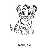 Süper Ötesi Boyama Kitap Seti (14 Profesyonel Boyama Kitabı) - 10