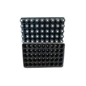 10 ADET 45 Lik Viyol Fide, Tohum Çimlendirme Viyolü - 2