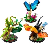 Lego Ideas 21342 The Insect Collection thumbnail 3