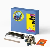 Mucit Kafası Plesiosaurus Puzzle Diorama - 2