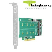 Bigboy PCIe 4.0 x4 PCIe 4.0 x8 2xM.2 2xNVMe Çevirici Ünite - 2
