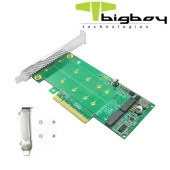 Bigboy PCIe 4.0 x4 PCIe 4.0 x8 2xM.2 2xNVMe Çevirici Ünite - 4