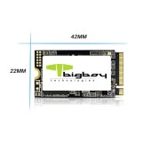 Bigboy 1TB 22x42mm PCIe 3.0 x4 M.2 NVMe Notebook SSD - 4