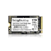 Bigboy 1TB 22x42mm PCIe 3.0 x4 M.2 NVMe Notebook SSD - 1