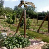 Bird-X Prowler Owl Kuş Kovucu Maket Baykuş thumbnail 3