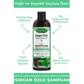 Phytoflora Tuzsuz Yağlı Ve Kepekli Saçlara Özel Isırgan Özlü Bitkisel Şampuan 400 ML - 1