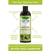 Phytoflora Tuzsuz Tüm Saç Tiplerine Özel Zeytinyağlı Bitkisel Şampuan 400 ML - 1