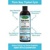 Phytoflora Kepek Karşıtı Tuzsuz Eşek Sütü Ve Hindistan Cevizi Yağlı Bitkisel Şampuan 400 ML - 1