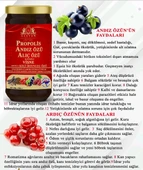 Lexton Propolis Andız Özü Katkılı Vişne Aromalı Keçi Boynuzu Özü 640 Gr 8680713316968 - 2