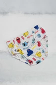 Erkek Çocuk Slip Külot Desenli - 8