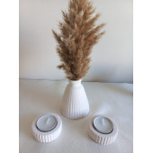 PAMPAS VAZOSU BEYAZ - 2