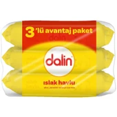 Dalin Islak Havlu Mendil Klasik 56 Yaprak 48 Li Set (2688 Yaprak) thumbnail 2