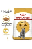 Royal Canin® British Shorthair Yetişkin Kedi Maması 2 Kg - 1