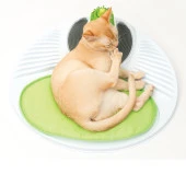 Catit Senses 2.0 Wellness Center thumbnail 4