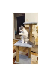 Mega Boy Step Kedi Tırmalama Tahtası - Gri - 1