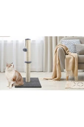 Xl Kedi Tırmalama - 1