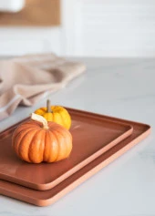 The Mia Cotta Limoges Servis Tabağı Terracota 28x20 cm thumbnail 3