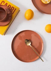 The Mia Cotta Limoges Pasta Tabağı Terracota 21 cm thumbnail 3